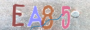 CAPTCHA (Şahıs Denetim Kodu) Resmi