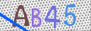 CAPTCHA (Şahıs Denetim Kodu) Resmi