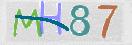 CAPTCHA (Şahıs Denetim Kodu) Resmi