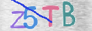 CAPTCHA (Şahıs Denetim Kodu) Resmi