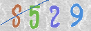CAPTCHA (Şahıs Denetim Kodu) Resmi