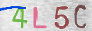 CAPTCHA (Şahıs Denetim Kodu) Resmi