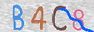 CAPTCHA (Şahıs Denetim Kodu) Resmi