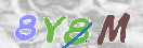 CAPTCHA (Şahıs Denetim Kodu) Resmi