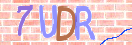CAPTCHA (Şahıs Denetim Kodu) Resmi