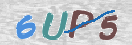 CAPTCHA (Şahıs Denetim Kodu) Resmi