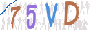 CAPTCHA (Şahıs Denetim Kodu) Resmi