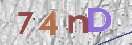 CAPTCHA (Şahıs Denetim Kodu) Resmi