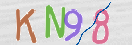 CAPTCHA (Şahıs Denetim Kodu) Resmi