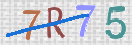 CAPTCHA (Şahıs Denetim Kodu) Resmi