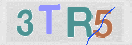 CAPTCHA (Şahıs Denetim Kodu) Resmi