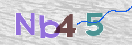 CAPTCHA (Şahıs Denetim Kodu) Resmi