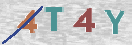 CAPTCHA (Şahıs Denetim Kodu) Resmi