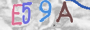 CAPTCHA (Şahıs Denetim Kodu) Resmi