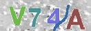 CAPTCHA (Şahıs Denetim Kodu) Resmi