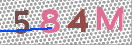 CAPTCHA (Şahıs Denetim Kodu) Resmi