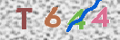 CAPTCHA (Şahıs Denetim Kodu) Resmi