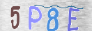 CAPTCHA (Şahıs Denetim Kodu) Resmi