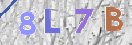 CAPTCHA (Şahıs Denetim Kodu) Resmi