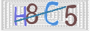 CAPTCHA (Şahıs Denetim Kodu) Resmi