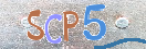 CAPTCHA (Şahıs Denetim Kodu) Resmi
