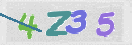 CAPTCHA (Şahıs Denetim Kodu) Resmi