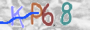 CAPTCHA (Şahıs Denetim Kodu) Resmi