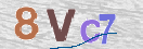 CAPTCHA (Şahıs Denetim Kodu) Resmi