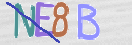 CAPTCHA (Şahıs Denetim Kodu) Resmi