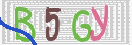 CAPTCHA (Şahıs Denetim Kodu) Resmi