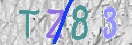CAPTCHA (Şahıs Denetim Kodu) Resmi