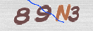 CAPTCHA (Şahıs Denetim Kodu) Resmi