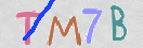 CAPTCHA (Şahıs Denetim Kodu) Resmi