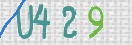 CAPTCHA (Şahıs Denetim Kodu) Resmi