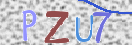 CAPTCHA (Şahıs Denetim Kodu) Resmi