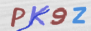 CAPTCHA (Şahıs Denetim Kodu) Resmi